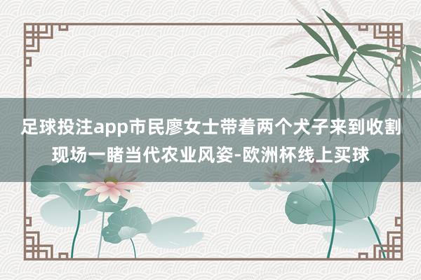 足球投注app市民廖女士带着两个犬子来到收割现场一睹当代农业风姿-欧洲杯线上买球