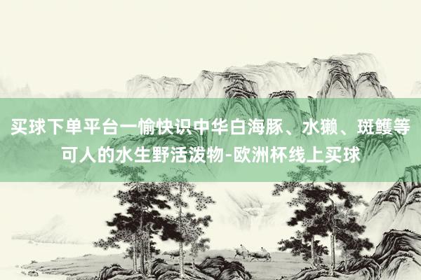 买球下单平台一愉快识中华白海豚、水獭、斑鳠等可人的水生野活泼物-欧洲杯线上买球