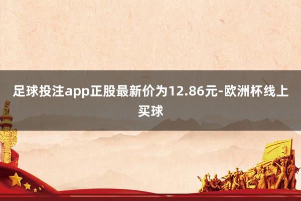 足球投注app正股最新价为12.86元-欧洲杯线上买球