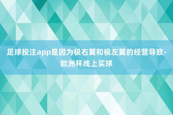 足球投注app是因为极右翼和极左翼的经营导致-欧洲杯线上买球