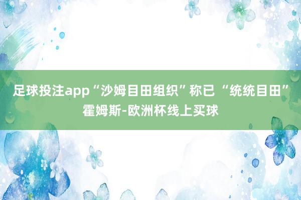 足球投注app“沙姆目田组织”称已 “统统目田”霍姆斯-欧洲杯线上买球