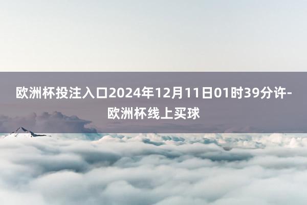 欧洲杯投注入口2024年12月11日01时39分许-欧洲杯线上买球