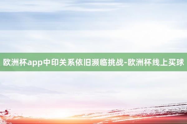 欧洲杯app中印关系依旧濒临挑战-欧洲杯线上买球
