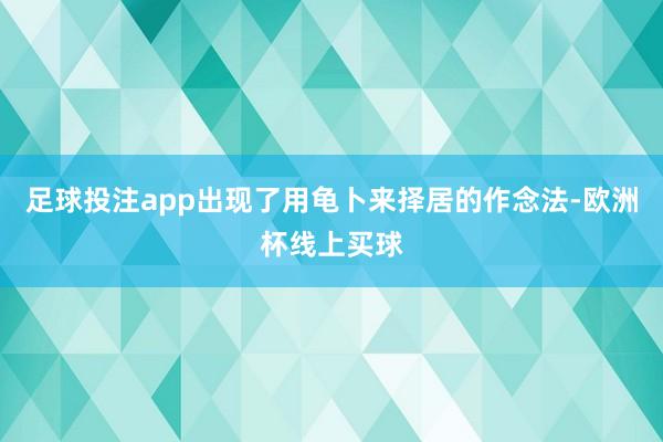足球投注app出现了用龟卜来择居的作念法-欧洲杯线上买球