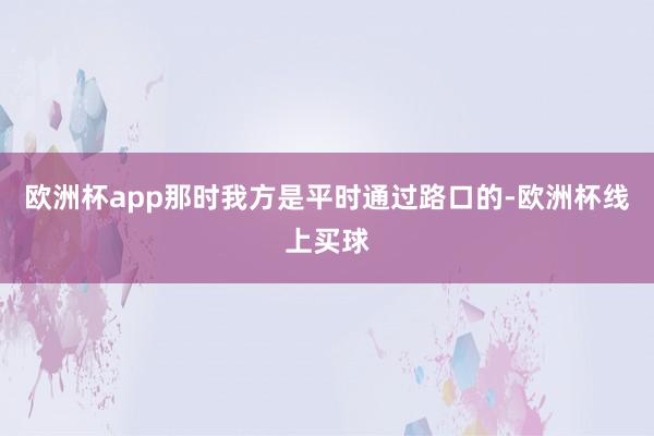 欧洲杯app那时我方是平时通过路口的-欧洲杯线上买球