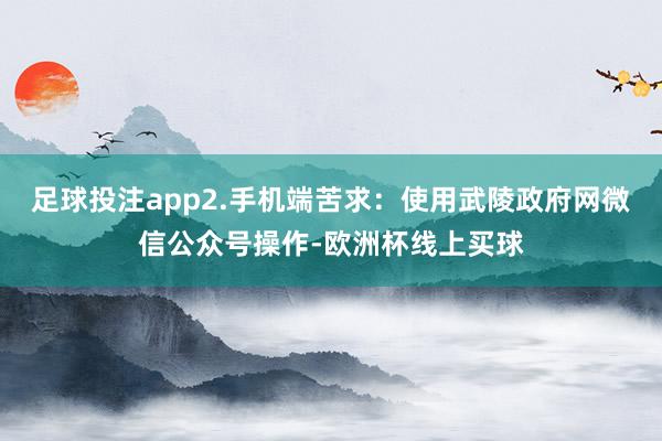 足球投注app2.手机端苦求：使用武陵政府网微信公众号操作-欧洲杯线上买球