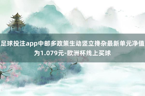 足球投注app中邮多政策生动竖立搀杂最新单元净值为1.079元-欧洲杯线上买球