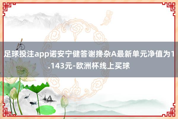 足球投注app诺安宁健答谢搀杂A最新单元净值为1.143元-欧洲杯线上买球