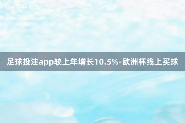 足球投注app较上年增长10.5%-欧洲杯线上买球