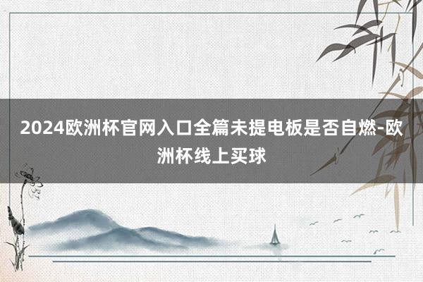 2024欧洲杯官网入口全篇未提电板是否自燃-欧洲杯线上买球