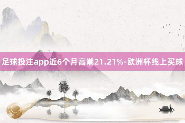 足球投注app近6个月高潮21.21%-欧洲杯线上买球