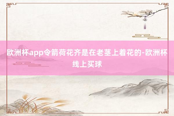 欧洲杯app令箭荷花齐是在老茎上着花的-欧洲杯线上买球