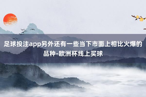 足球投注app另外还有一些当下市面上相比火爆的品种-欧洲杯线上买球