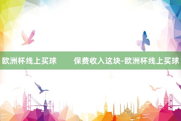 欧洲杯线上买球        保费收入这块-欧洲杯线上买球