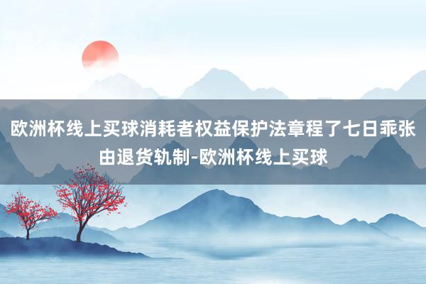欧洲杯线上买球消耗者权益保护法章程了七日乖张由退货轨制-欧洲杯线上买球