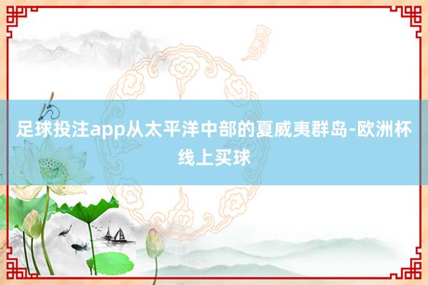 足球投注app从太平洋中部的夏威夷群岛-欧洲杯线上买球