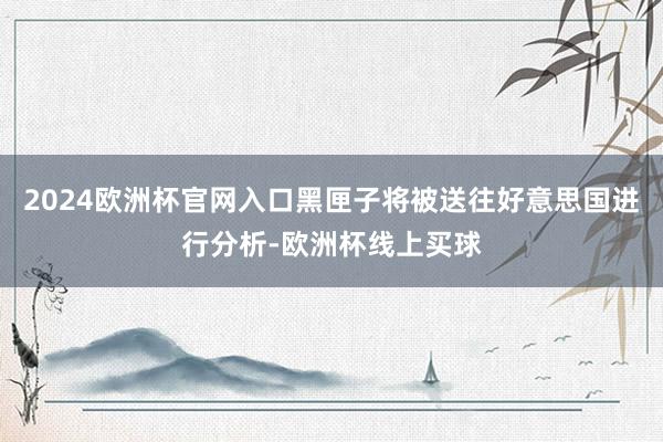 2024欧洲杯官网入口黑匣子将被送往好意思国进行分析-欧洲杯线上买球