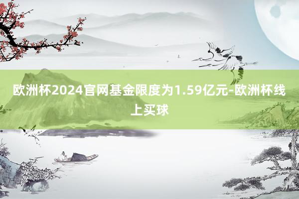 欧洲杯2024官网基金限度为1.59亿元-欧洲杯线上买球