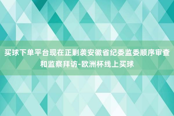 买球下单平台现在正剿袭安徽省纪委监委顺序审查和监察拜访-欧洲杯线上买球