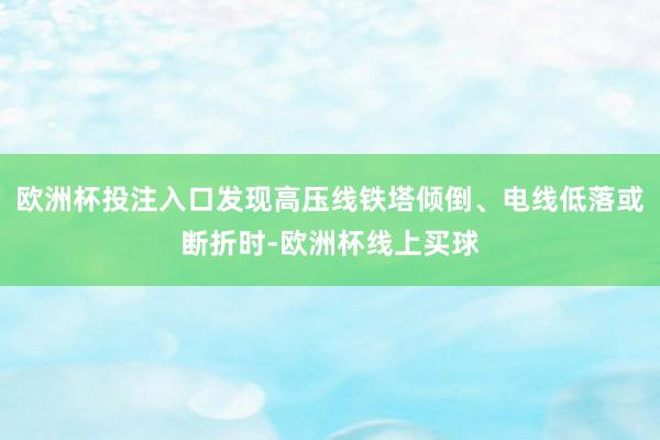 欧洲杯投注入口发现高压线铁塔倾倒、电线低落或断折时-欧洲杯线上买球