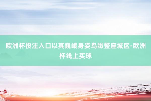欧洲杯投注入口以其巍峨身姿鸟瞰整座城区-欧洲杯线上买球