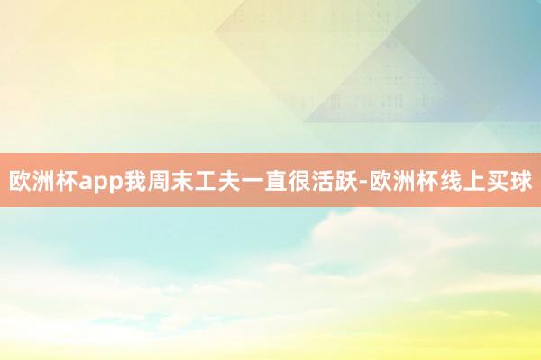 欧洲杯app我周末工夫一直很活跃-欧洲杯线上买球