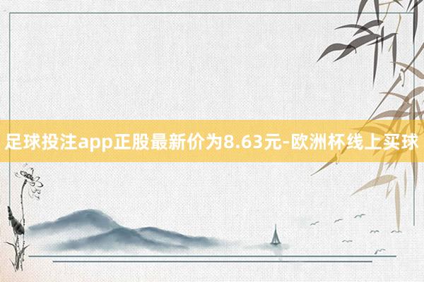 足球投注app正股最新价为8.63元-欧洲杯线上买球