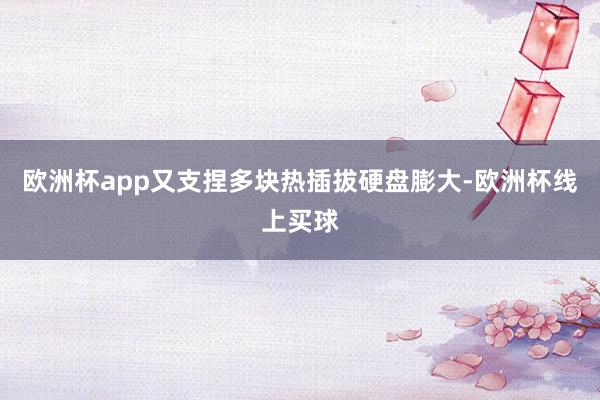 欧洲杯app又支捏多块热插拔硬盘膨大-欧洲杯线上买球