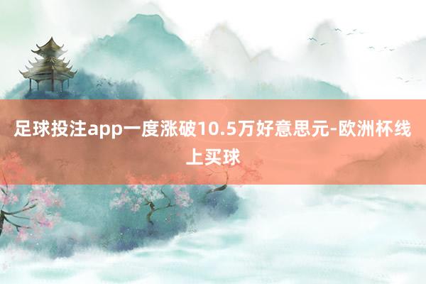 足球投注app一度涨破10.5万好意思元-欧洲杯线上买球