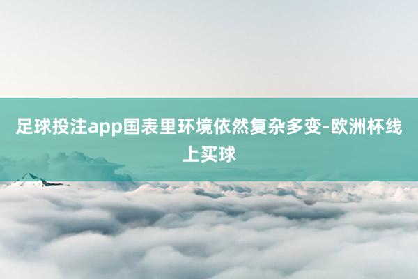 足球投注app国表里环境依然复杂多变-欧洲杯线上买球