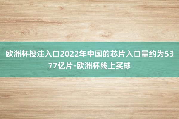 欧洲杯投注入口2022年中国的芯片入口量约为5377亿片-欧洲杯线上买球