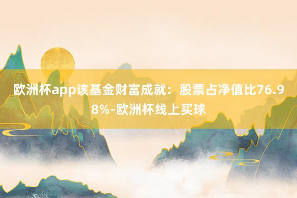 欧洲杯app该基金财富成就：股票占净值比76.98%-欧洲杯线上买球