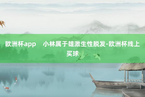 欧洲杯app    小林属于雄激生性脱发-欧洲杯线上买球